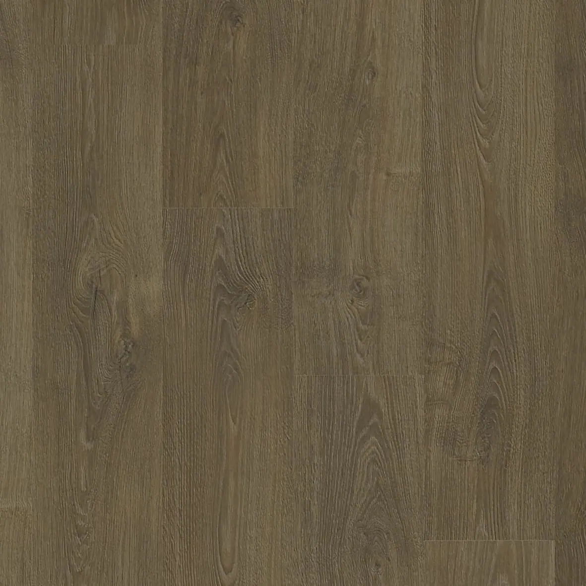 馬傑斯 Majestic Oak 樣板