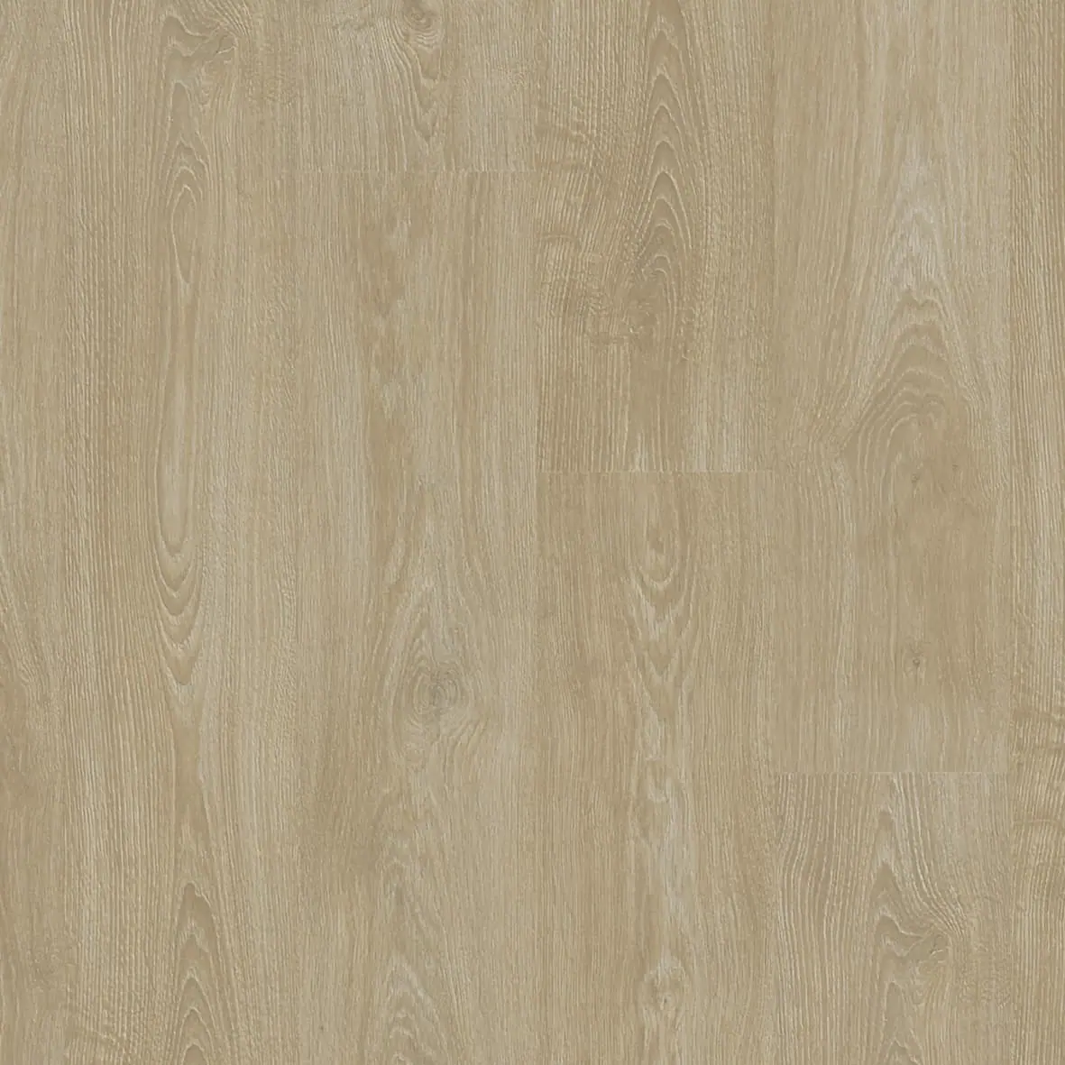法國橡木 French Oak 樣板