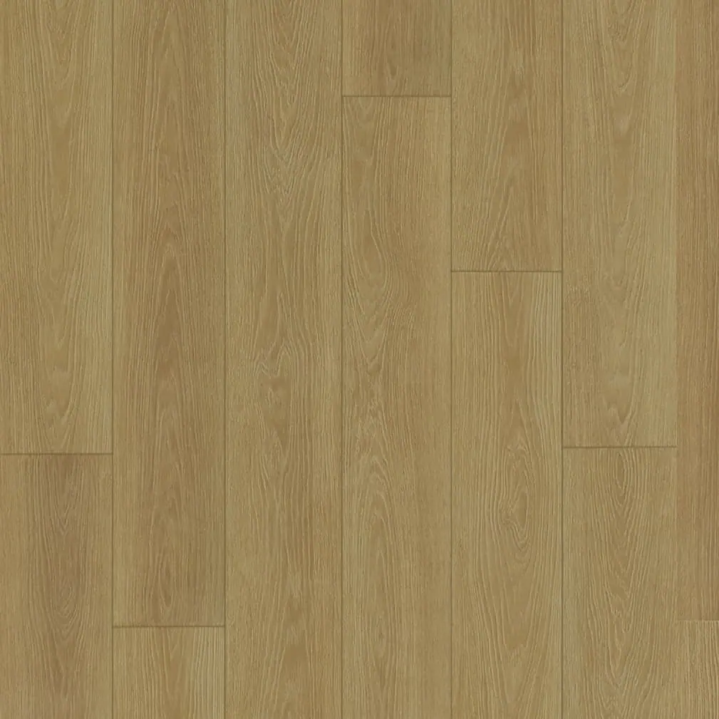 首選橡木 Prime Oak 樣板